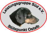 Leistungsgruppe Süd e.V. - Stützpunkt Ostalb Logo