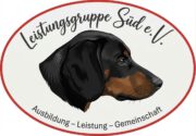 Leistungsgruppe Süd e.V.-Logo